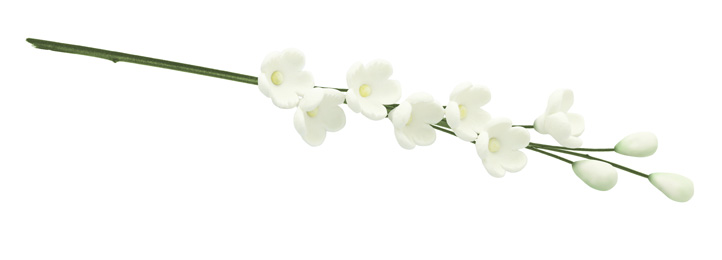 Sarah Flanagan - Funeral Celebrant